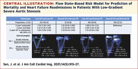 lvot stroke volume chart